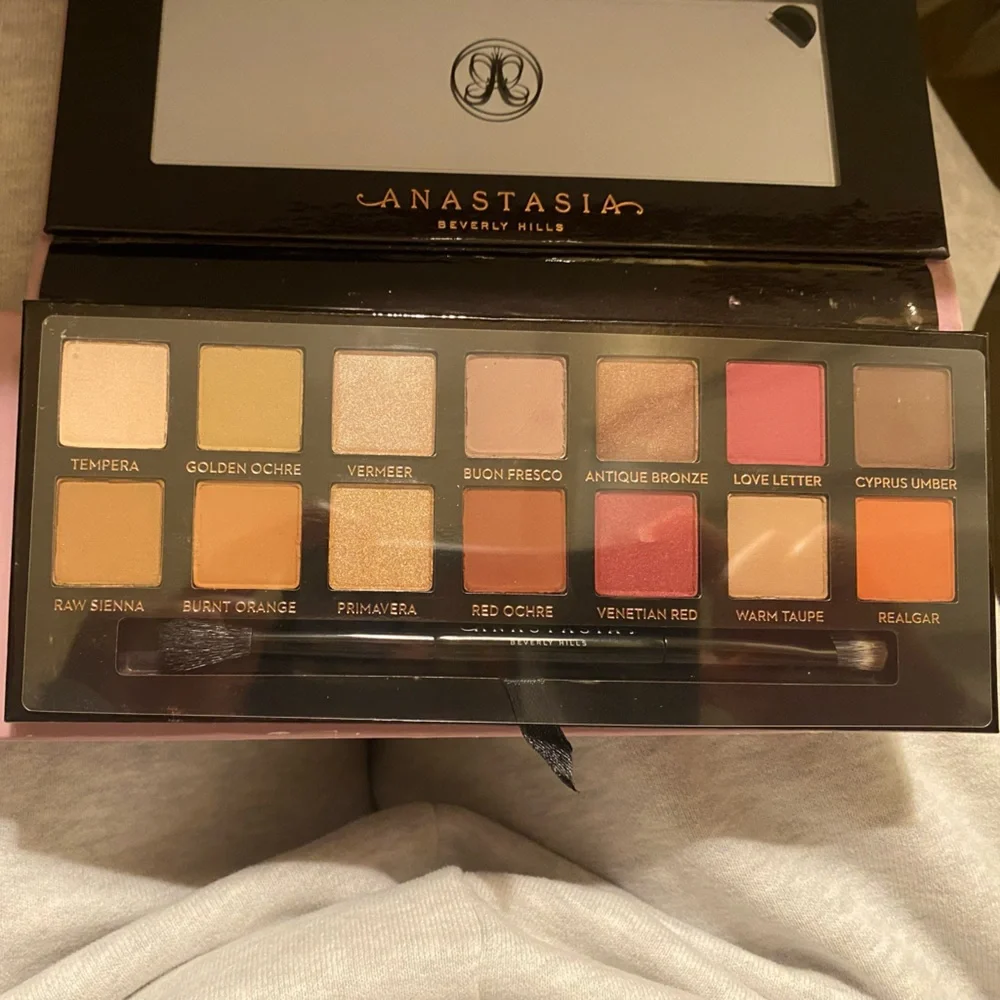 Anastasia Beverly Hills Modern Renaissance in Pink Case